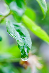 Similar image 135955