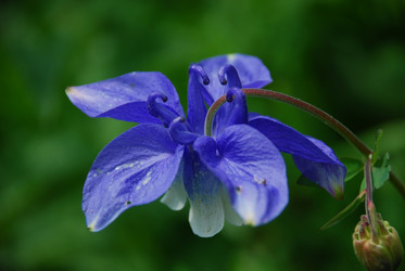 Similar image 135971