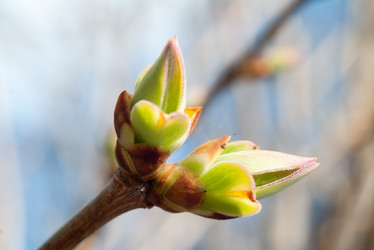 Similar image 135989