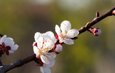 Similar image 135991