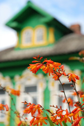 Similar image 135993