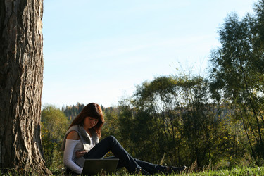 Similar image 135994