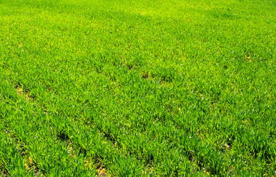 Similar image 135997