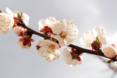 Similar image 135998