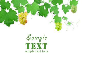 Similar image 136007