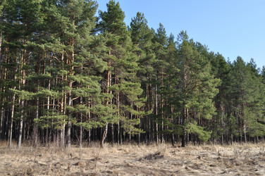 Similar image 136026