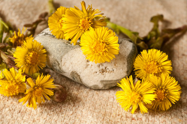 Similar image 136035