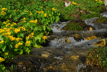 Similar image 136036