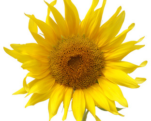 Similar image 136042