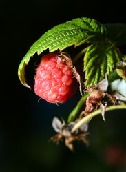 Similar image 136047