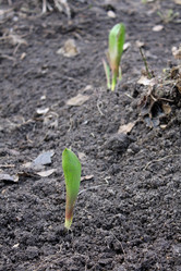 Similar image 136048