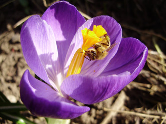 Similar image 136061