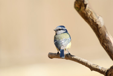 Similar image 136112