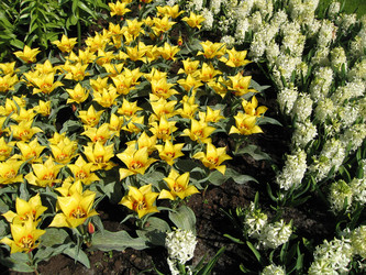 Similar image 136122