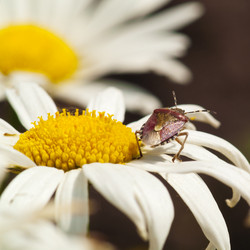 Similar image 136124