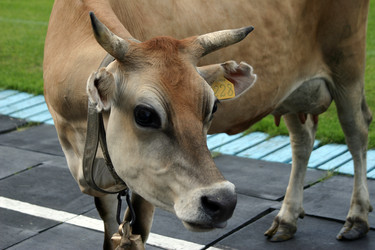 Similar image 136134