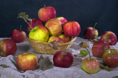 Similar image 136136