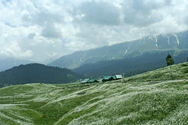 Similar image 136147