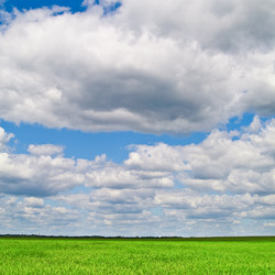 Similar image 136155