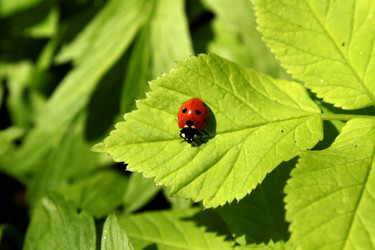 Similar image 136166