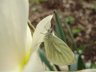 Similar image 136173