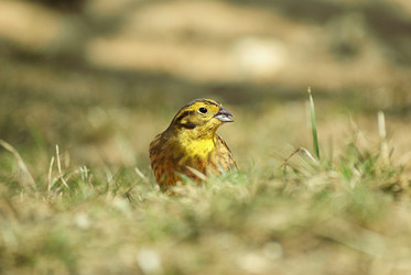 Similar image 136207