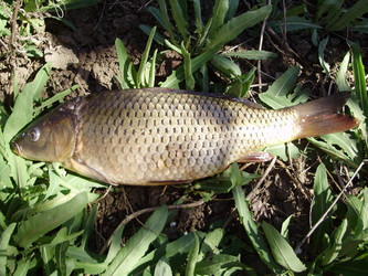 Similar image 136210