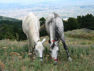 Similar image 136225