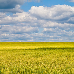 Similar image 136308