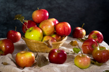 Similar image 136309