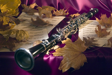 Similar image 136323