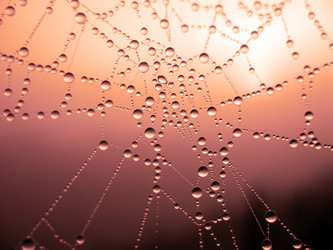 Similar image 136325