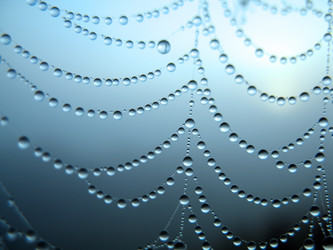 Similar image 136326