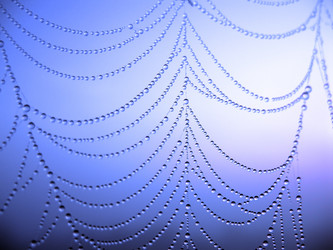 Similar image 136328