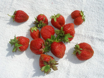 Similar image 136335