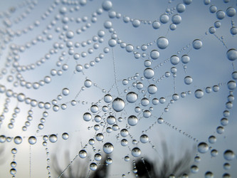 Similar image 136336