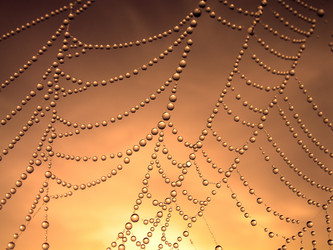 Similar image 136337