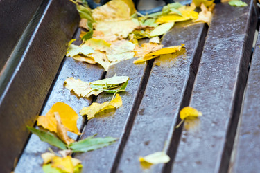 Similar image 136345