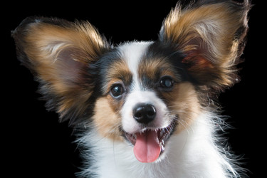 Similar image 136348