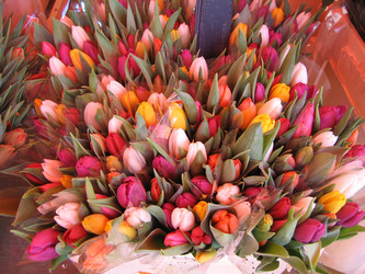 Similar image 136359