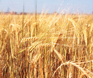 Similar image 136378