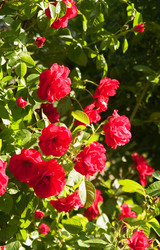 Similar image 136380