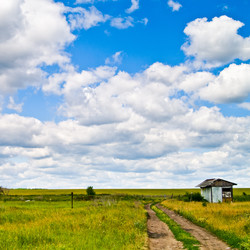 Similar image 136382