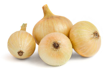 Similar image 136411