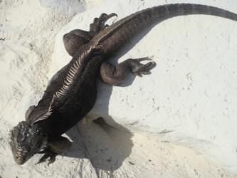 Similar image 136418