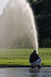 Similar image 136437