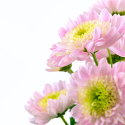 Similar image 136439