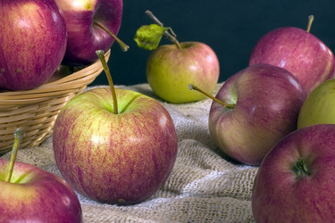 Similar image 136449