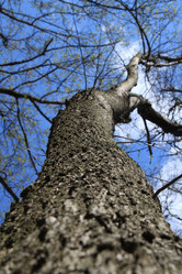 Similar image 136471