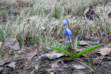 Similar image 136481